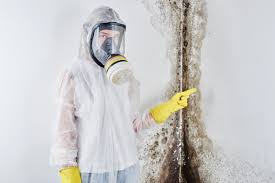 Mold Odor Removal Services in Hillsboro, IL